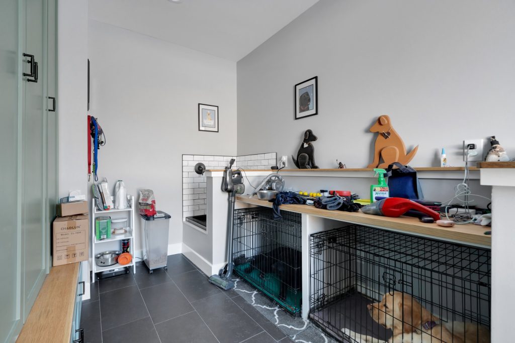 Louisville modern home pet grooming room with bathing area, crates, and cozy dog resting under counter.